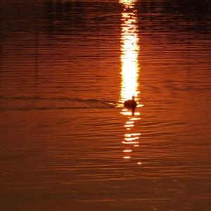 校花夹震蛋上课爽死h女女
