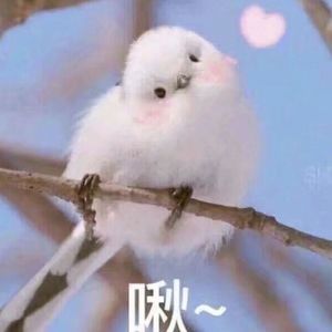 校花夹震蛋上课爽死h女女
