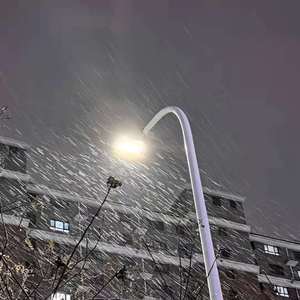 校花夹震蛋上课爽死h女女
